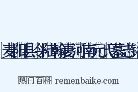 麦阳县令陆翰妻河南元氏墓志铭是什么意思的图片